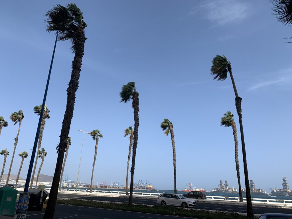 La alerta por viento entró en vigor durante la pasada medianoche y las islas de La Palma, Gran Canaria, Fuerteventura y Lanzarote quedan en situación de prealerta