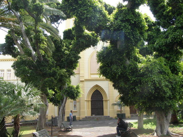 Tenerife consulta a la ciudadanía el uso del Parque Cultural Viera y Clavijo. Parque Cultural Viera y Clavijo/ Ayuntamiento de Santa Cruz de Tenerife.