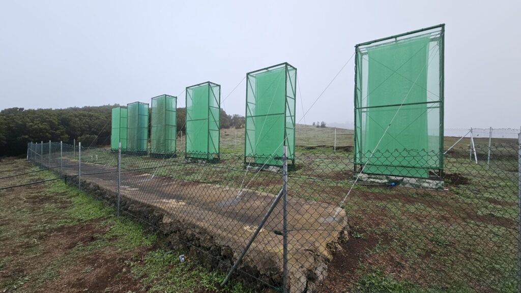 Captanieblas en El Hierro. Imagen Cabildo de El Hierro