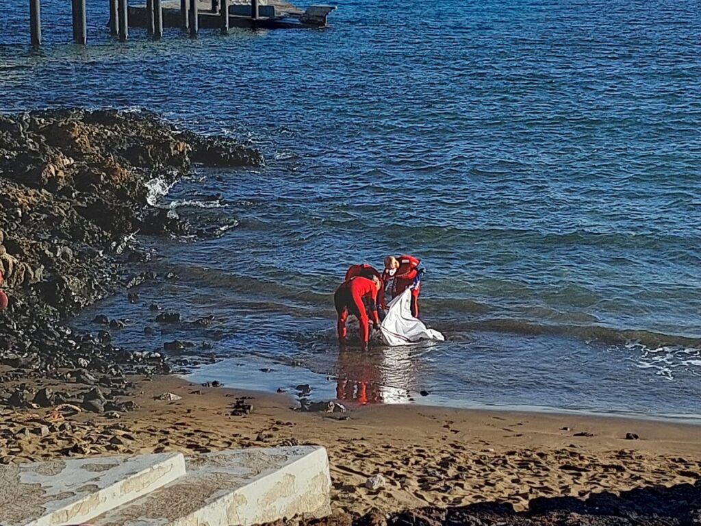 Los bomberos del Cabildo de Lanzarote retiran el cadáver de la vaca/Consorcio de Emergencias del Cabildo de Lanzarote