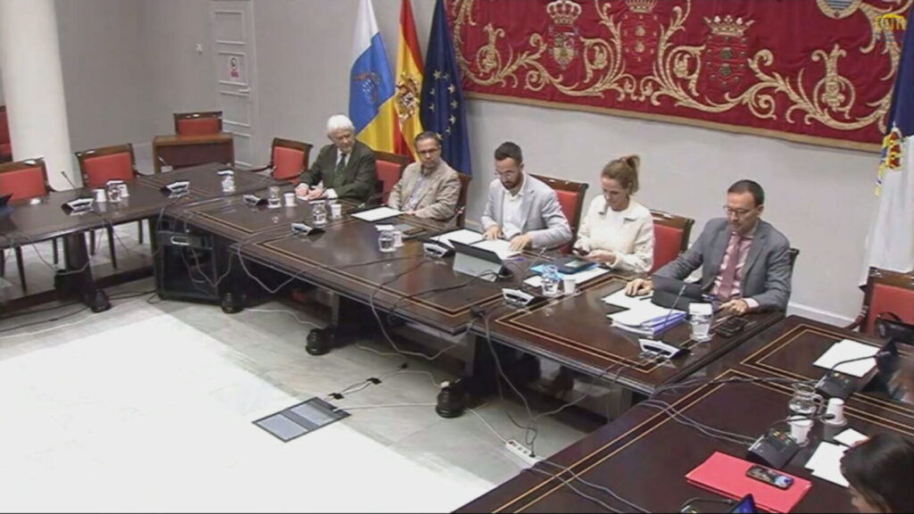 Comisión de investigación en el Parlamento de Canarias por la compra de material sanitario durante la pandemia. Comparecen integrantes del 
comité científico. Imagen RTVC