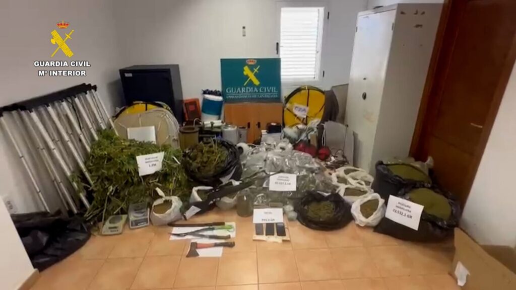 Detenidas dos personas por tener un vivero con 1.300 plantas de marihuana en Tahíche (Lanzarote)