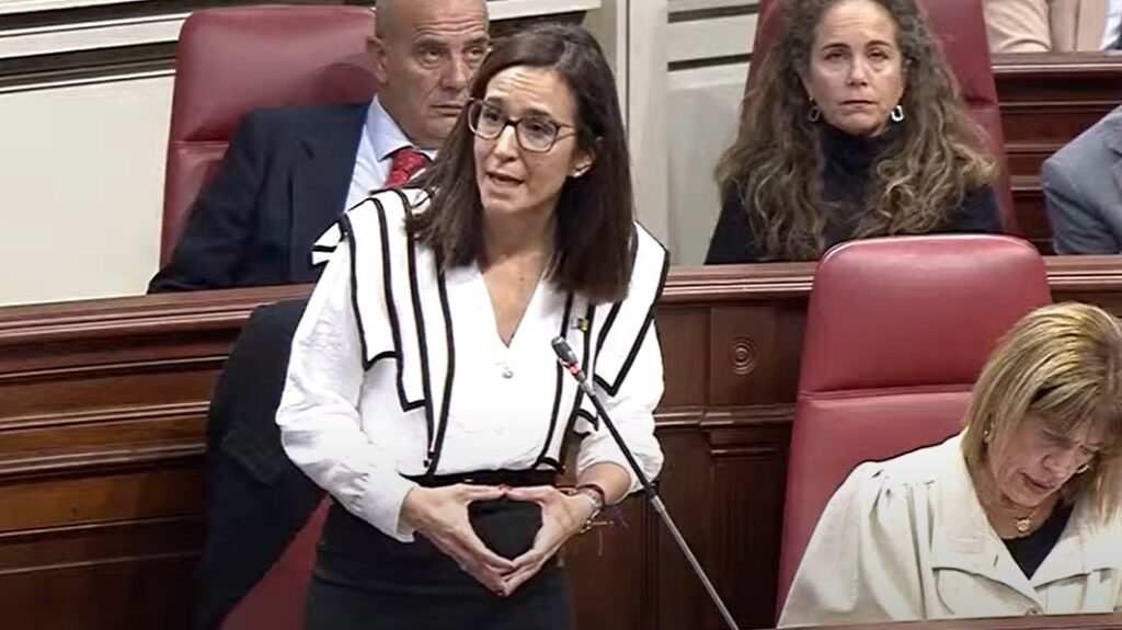 Pleno Parlamento Canarias