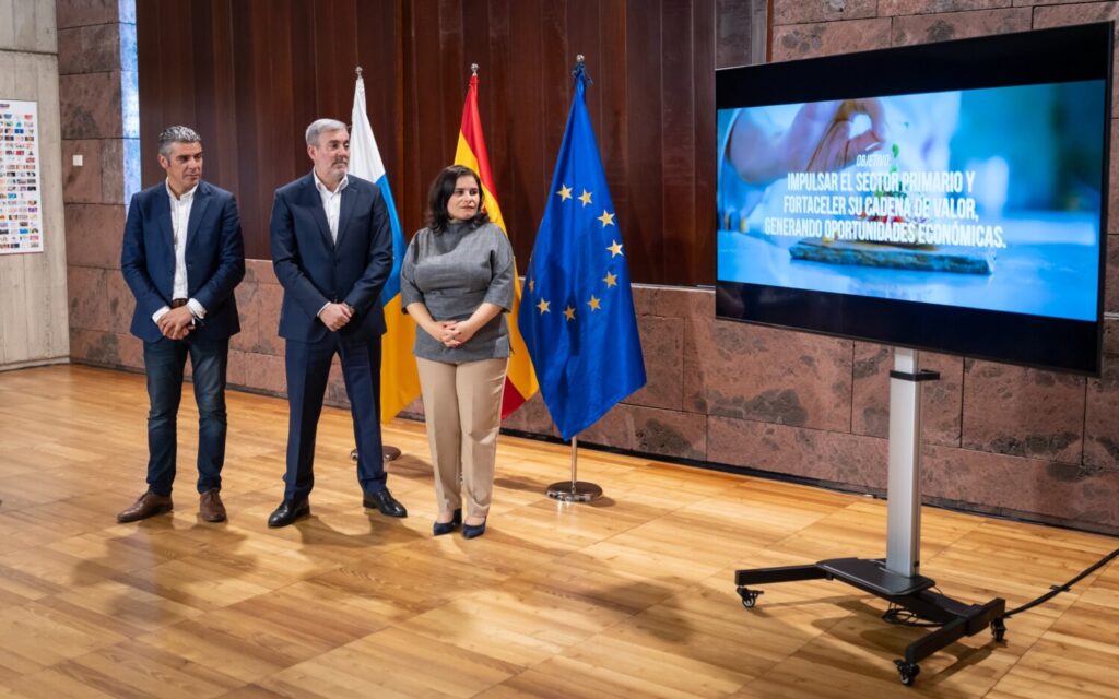 Canarias presenta 'Dinamiza Rural' para impulsar la sostenibilidad. Presentación de 'Dinamiza Rural'/ Gobierno de Canarias.