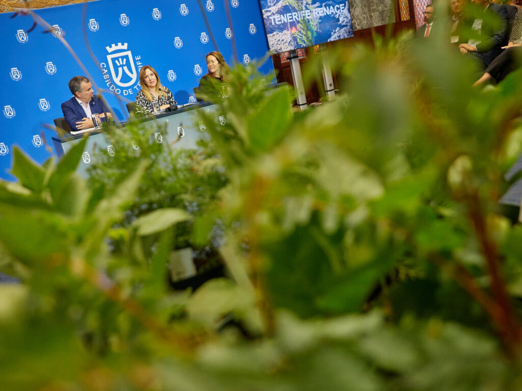 Rueda de prensa de balance de la iniciativa 'Tenerife Renace'. Imagen Cabildo de Tenerife