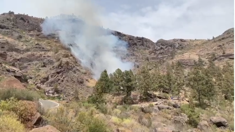 Gran Canaria en alerta por riesgo de incendios en la cumbre y las medianías
