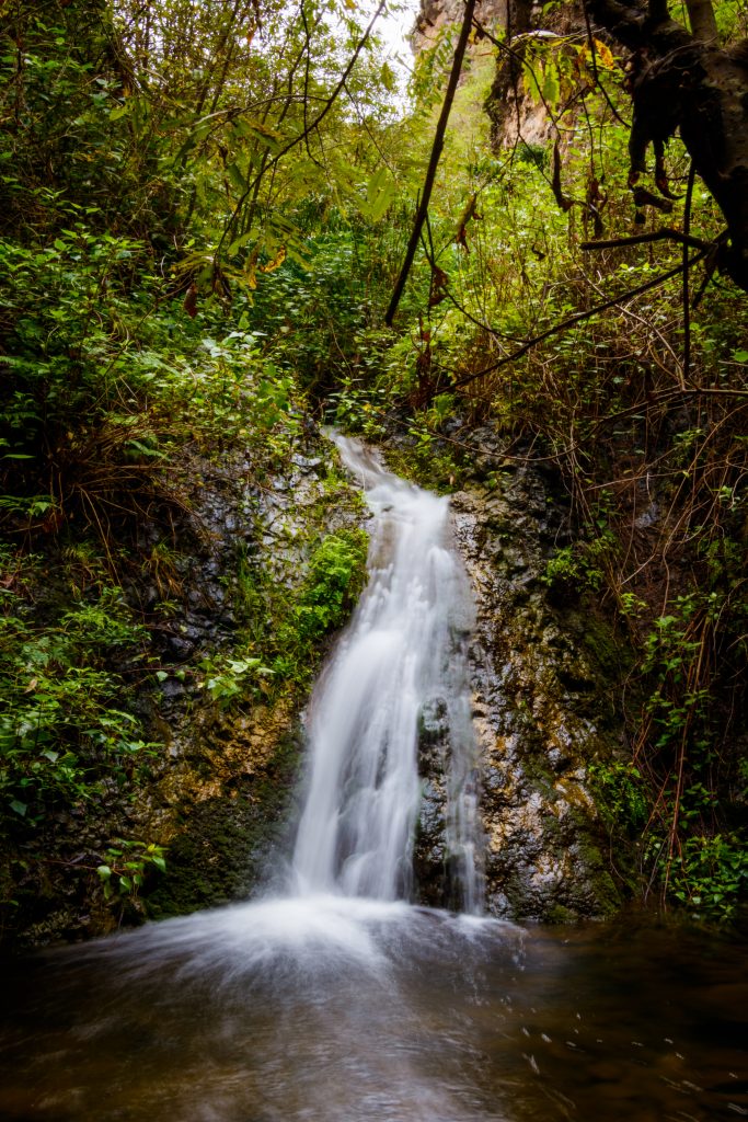 Azuaje 6