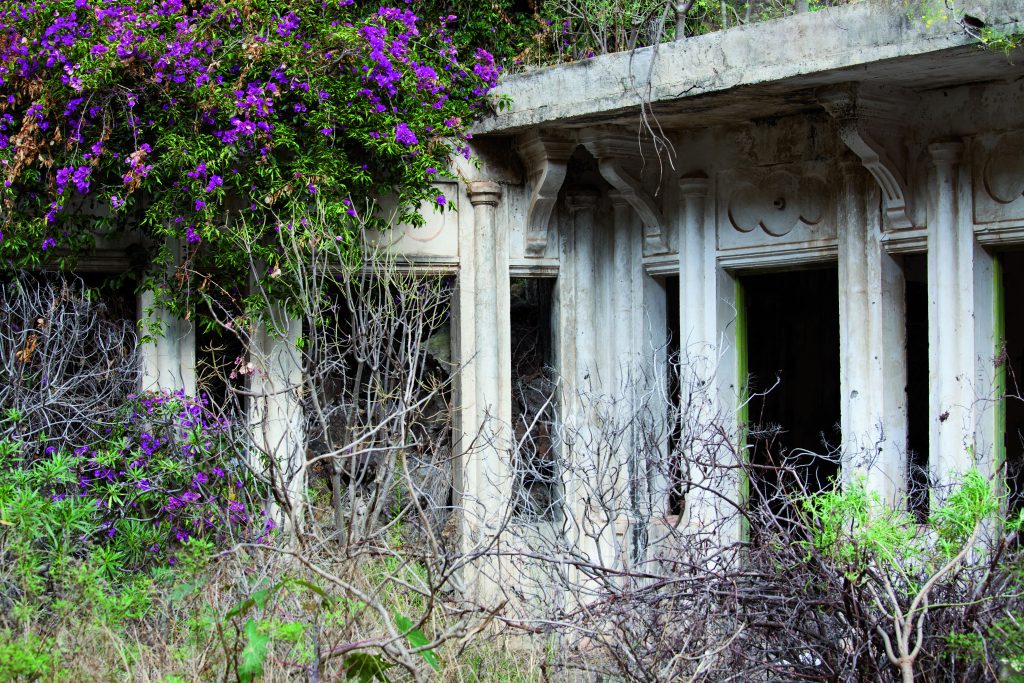 Azuaje 12