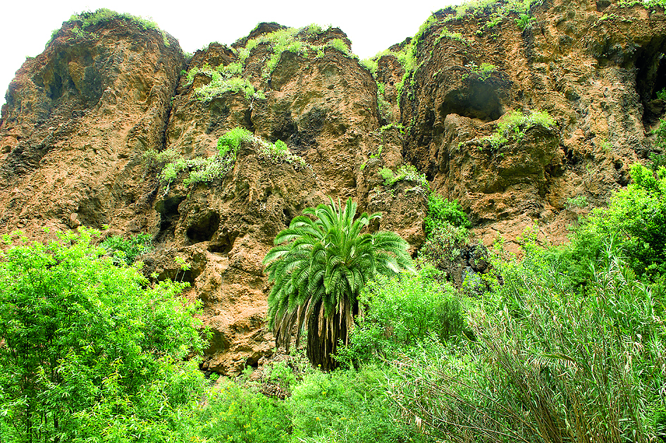 Azuaje 2