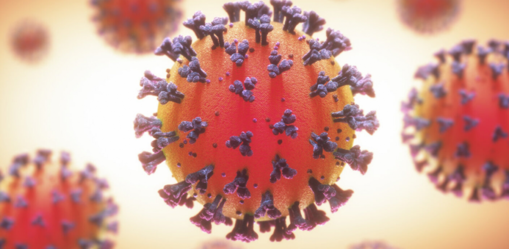 Descubren cómo el virus SARS-CoV-2 se comunica con las células humanas