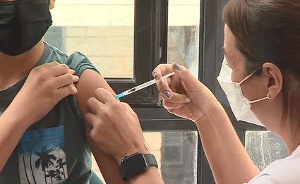 España trabaja en una vacuna que consigue la inmunidad completa y más resistente al virus