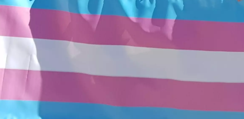 El PSOE ratifica su compromiso con la ley trans en el Día Internacional de la Visibilidad Trans