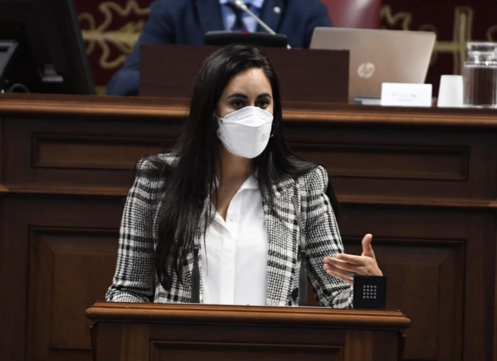 Vidina Espino, portavoz del Grupo Mixto