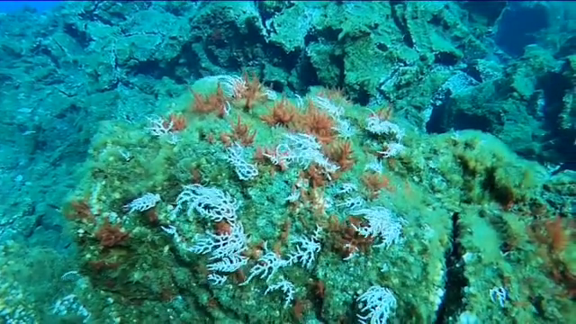 Un submarino explorará los deltas lávicos de la erupción en Cumbre Vieja