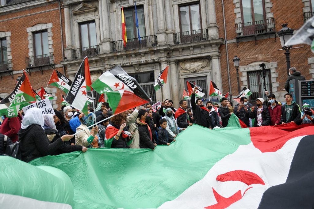 El cambio del Gobierno sobre el Sáhara Occidental, a debate en el Senado