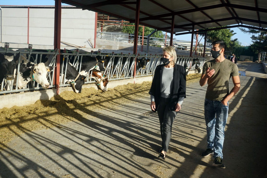 El Gobierno regional destina 319.000 euros a productores y ganaderos para mitigar los efectos de la guerra de Ucrania
