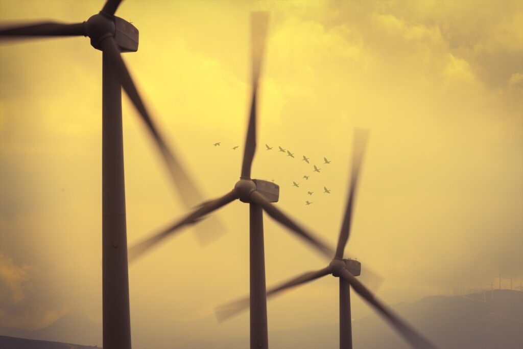 La guerra de Ucrania acelera la transición a las energías renovables