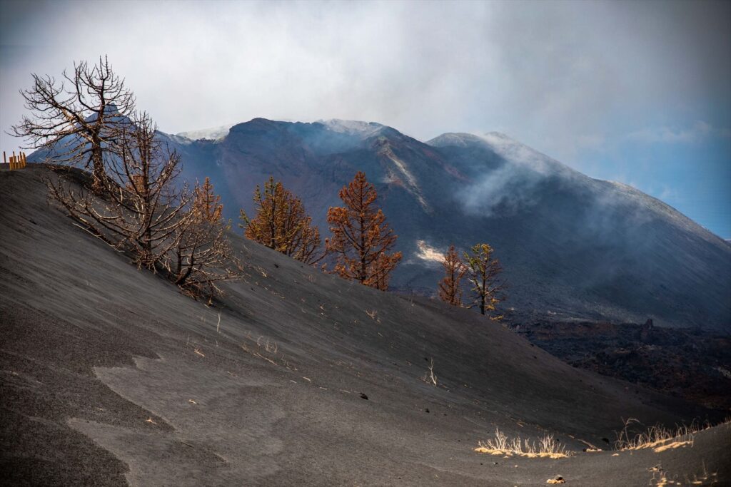 Analizan el litoral de La Palma tras la erupción volcánica