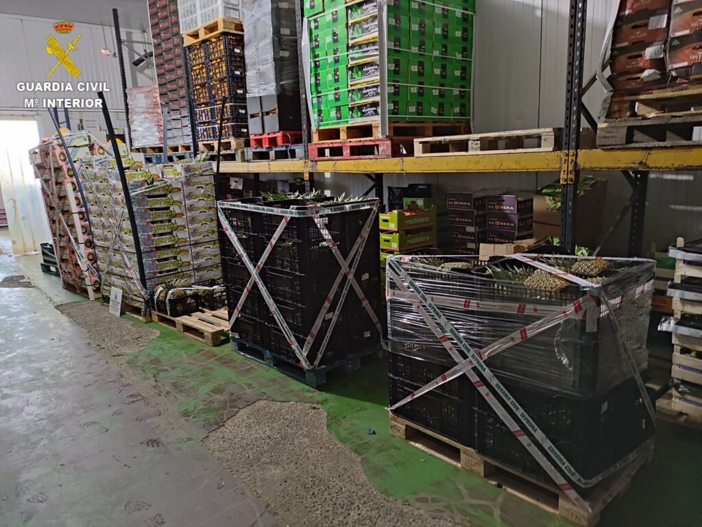 El SEPRONA incauta más de dos toneladas de fruta tropical en Fuerteventura