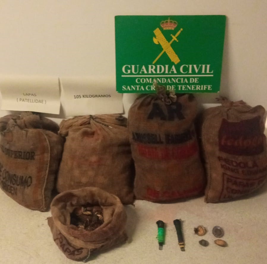 Intervienen 105 kilogramos de lapas en el interior de una furgoneta en Tenerife