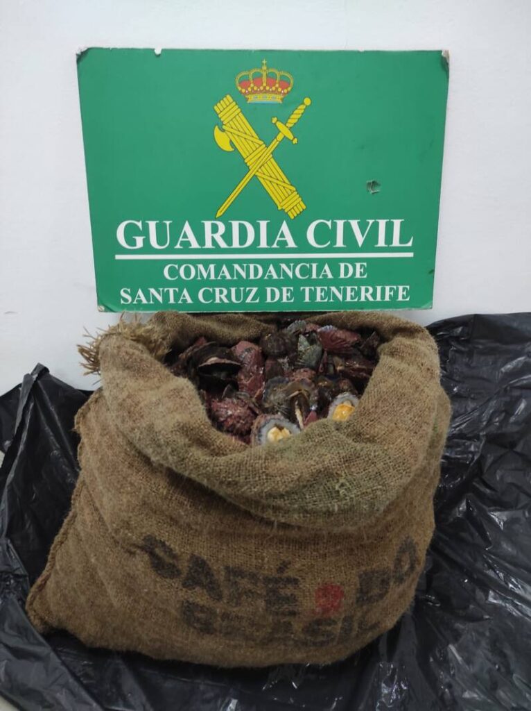 Intervenidos en Tenerife 35 kilos de lapas que no tenían control sanitario
