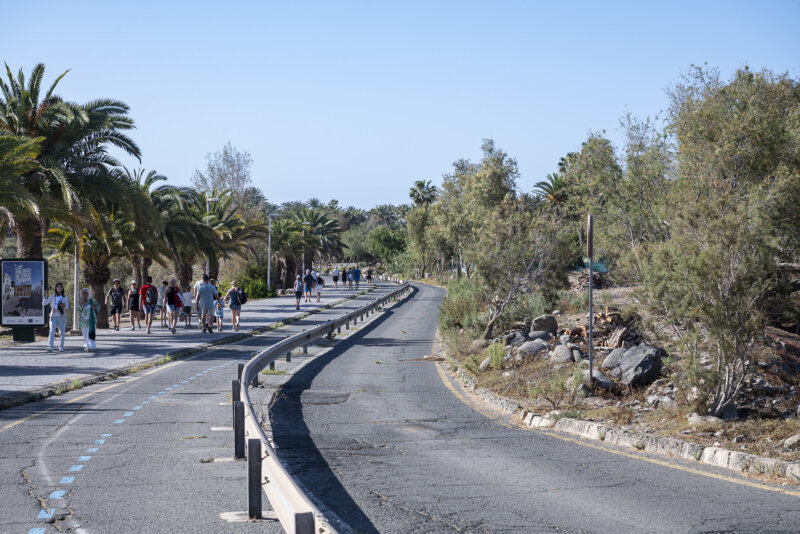 El Consorcio transformará el Palmeral Oasis de Maspalomas