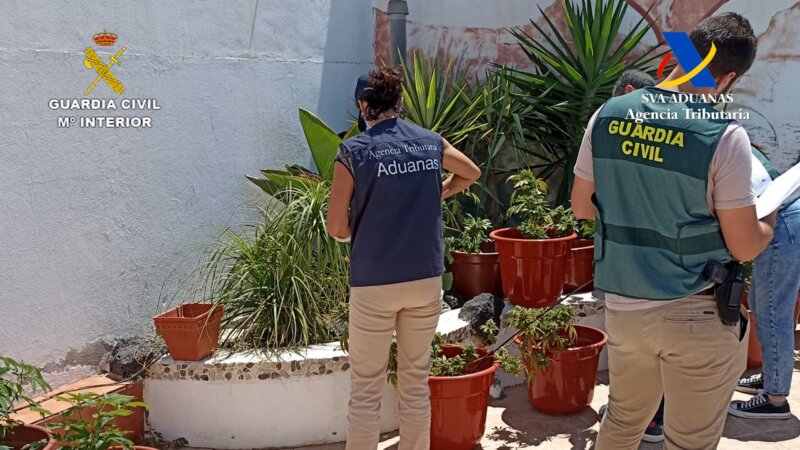 Intervención en Tahiche realizada por la Agencia Tributaria y la Guardia Civil / Guardia Civil