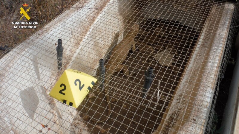 Una de las jaulas con especies invasoras en la finca de Güímar registrada por la Guardia Civil