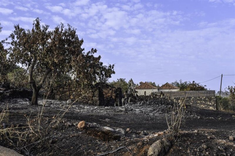 El incendio de La Palma ha afectado al menos a sesenta inmuebles de los municipios de Puntagorda y Tijarafe,
