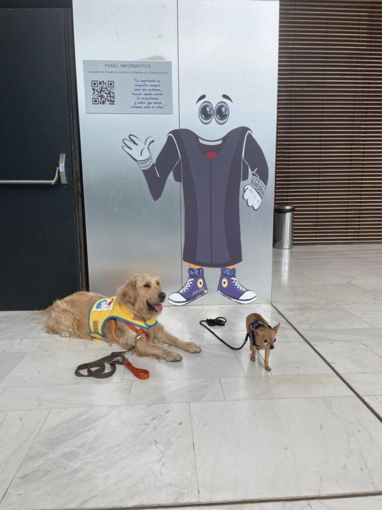 Tres perros de apoyo a menores en el Juzgado de Violencia contra la Infancia