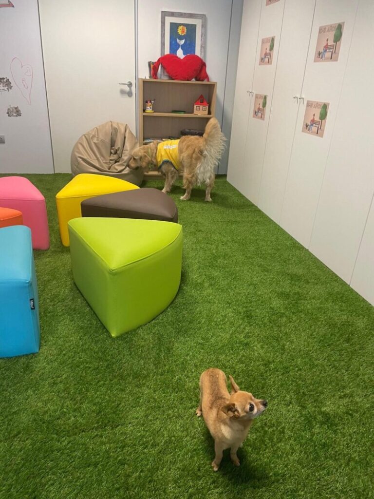 Tres perros de apoyo a menores en el Juzgado de Violencia contra la Infancia
