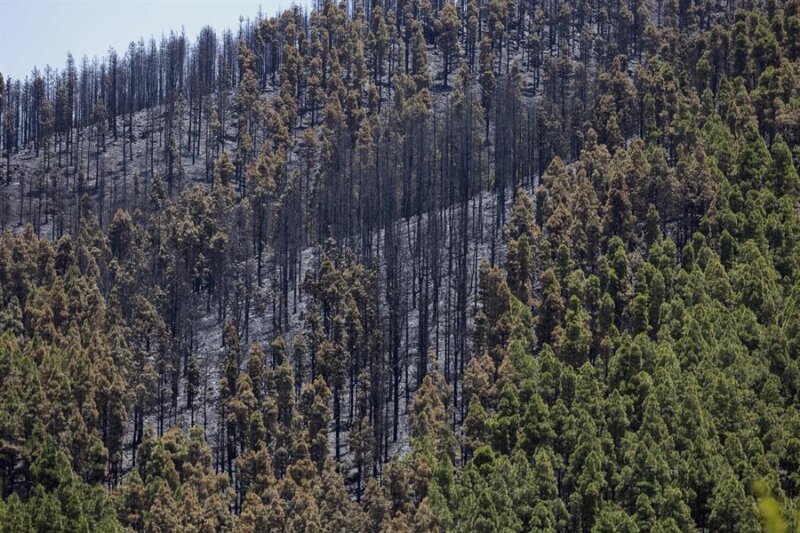 Controlado el incendio de Gran Canaria