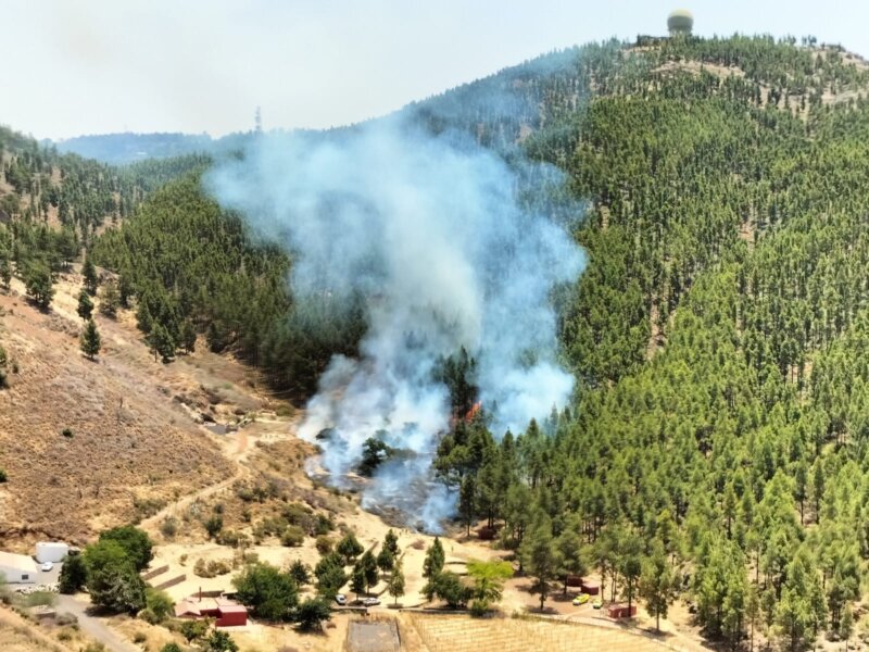 Declarado un conato de incendio en Tejeda, Gran Canaria