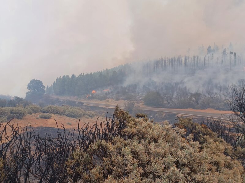 Declarado incendio cumbre de Gran Canaria