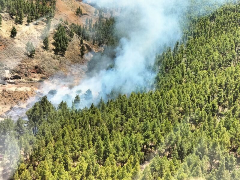 Imagen Incendio de Tejeda declarado este martes 25 de julio. Foto Cabildo de Gran Canaria