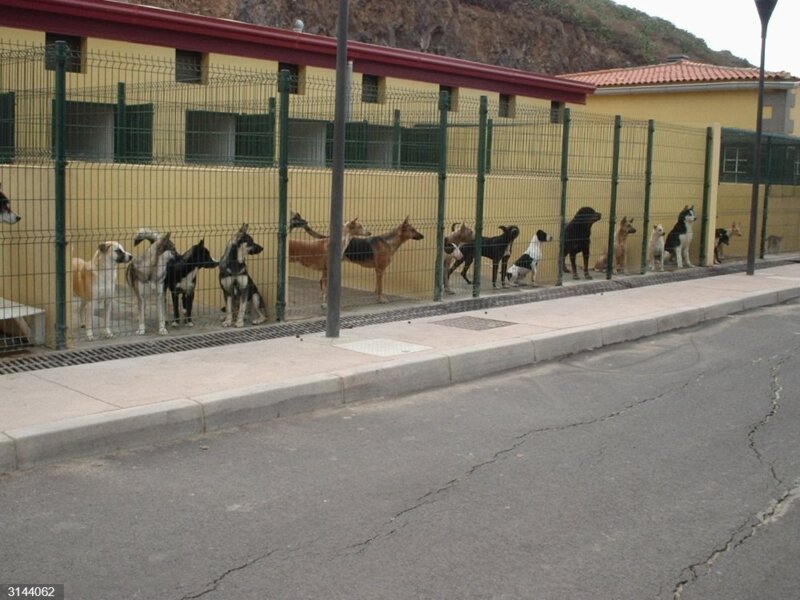 Piden una reunión urgente con el Cabildo de Tenerife para mejorar su implicación en Valle Colino