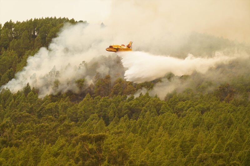 Incendio declarado en Tenerife 17/08/23