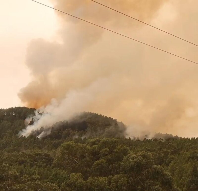El incendio de Tenerife en imágenes