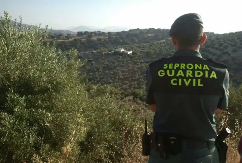La Guardia Civil recomienda abstenerse de realizar actividades que puedan entrañar riesgo de incendio