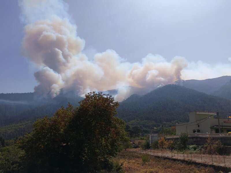 Incendio declarado en Tenerife 17/08/23