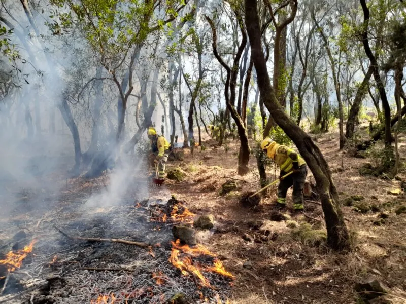 Incendio de Tenerife