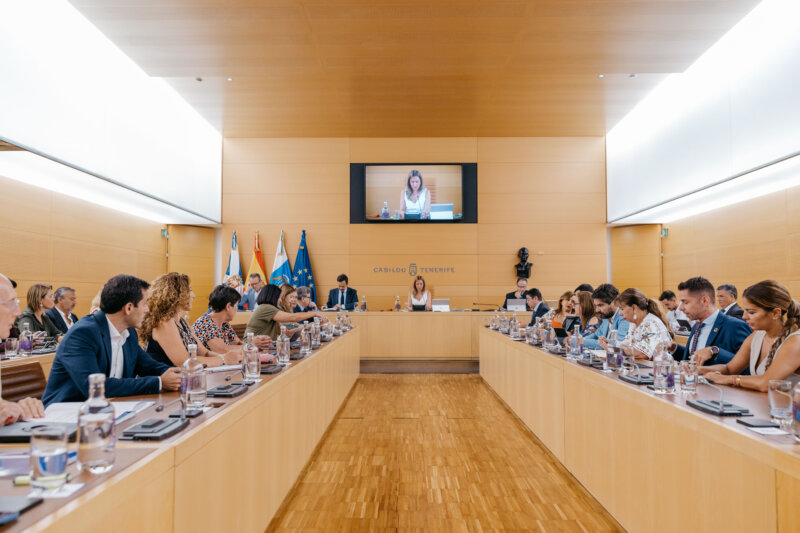 El Cabildo de Tenerife ha realizado un pleno extraordinario sobre la situación del incendio forestal que comenzó el 15 de agosto / Cabildo de Tenerife
