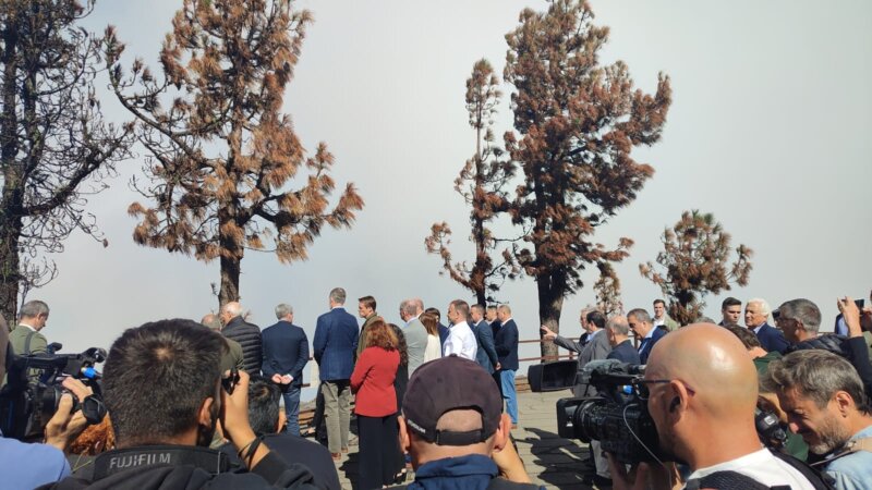 Imagen de la visita de Los Reyes a la zona afectada por el incendio de Tenerife. Foto de Vicky Luis