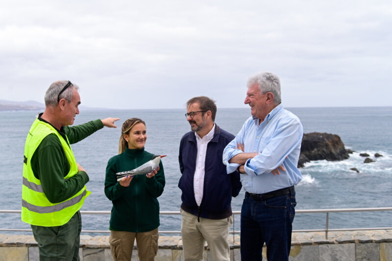 El consejero de Medio Ambiente, Raúl García Brink, y el concejal de Ciudad del Mar, Pedro Quevedo, supervisando los trabajos de restauración en un refugio de charranes