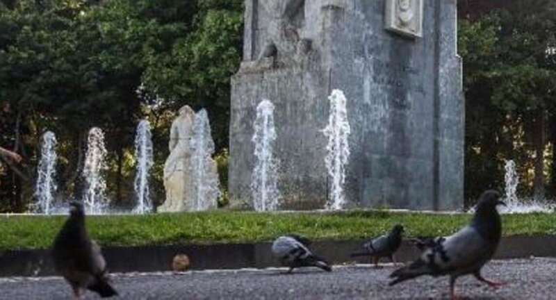 La sanción impuesta por dar de comer a las palomas se ajusta a la Ordenanza Municipal Reguladora de la Protección y Tenencia de Animales