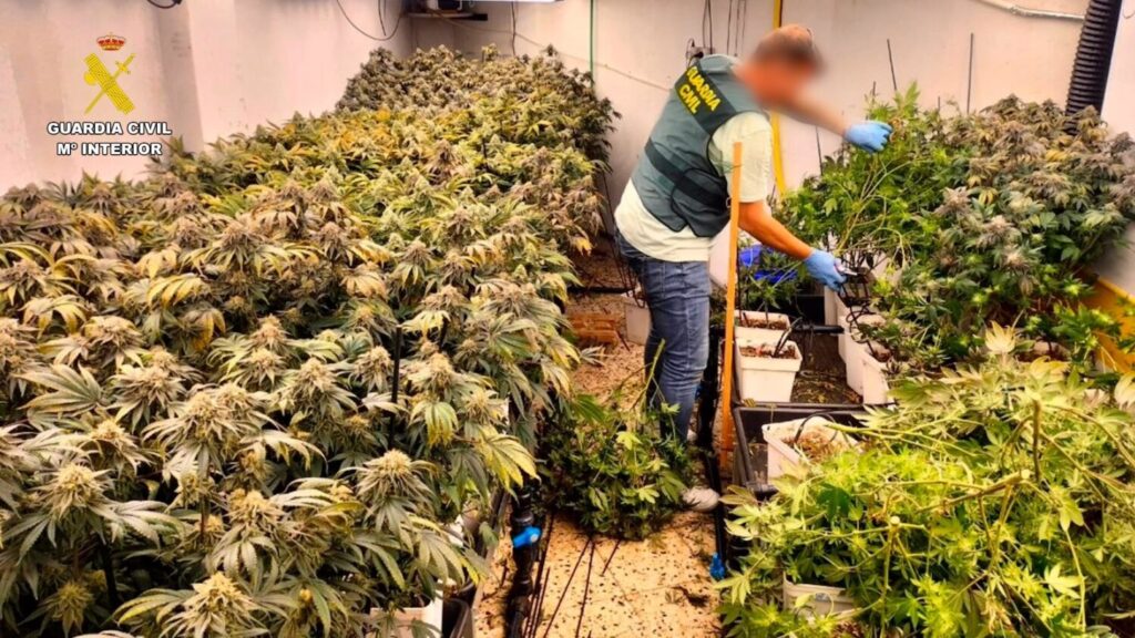 Desmantelan una falsa Asociación de Fumadores en Tenerife
